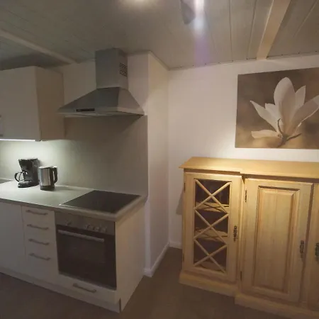 Апартаменты Ferienhaus Alte Schmiede *